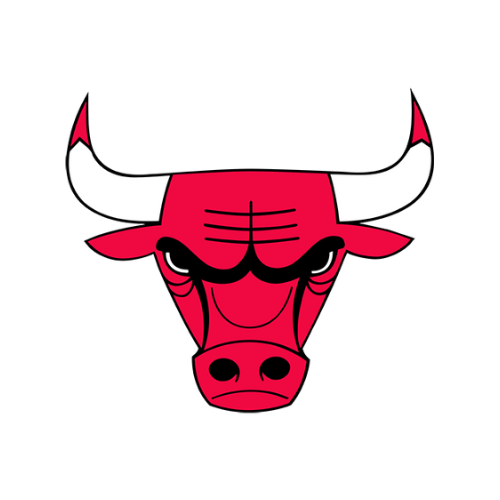 Chicago Bulls